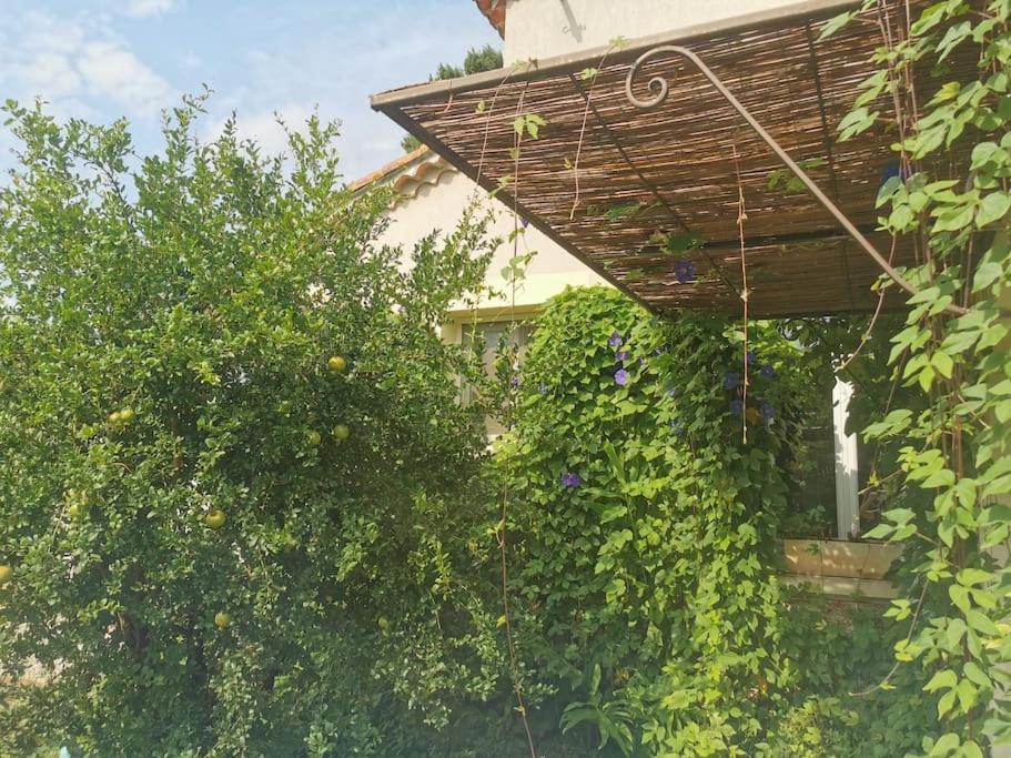 Maison Avec Piscine Dans Village Provencal. Courthézon 외부 사진