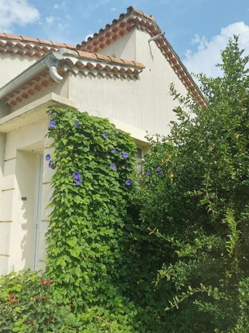 Maison Avec Piscine Dans Village Provencal. Courthézon 외부 사진